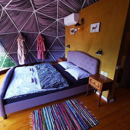 Glamping Zazen Hotel Drumu Carului Exterior foto