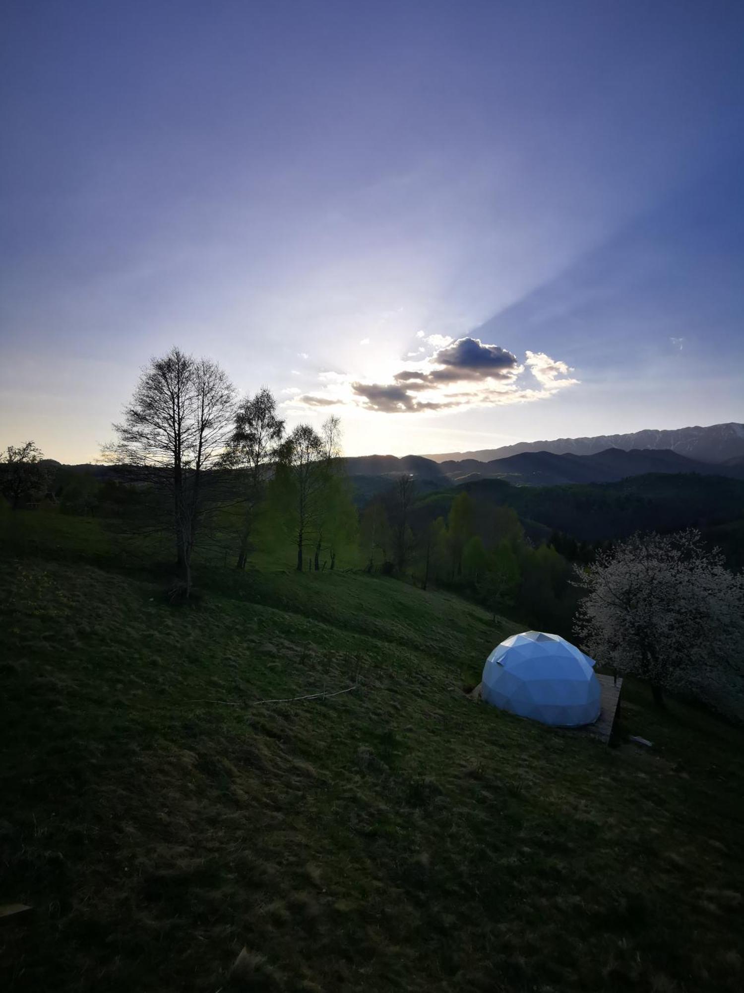 Glamping Zazen Hotel Drumu Carului Exterior foto